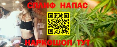 соль ск Будённовск