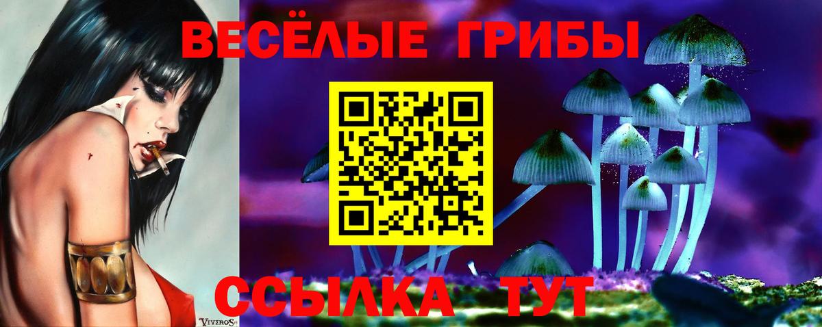 Уварово  Псилоцибиновые грибы GOLDEN TEACHER  Галлюциногенные грибы Psilocybe  купить  сайты  Вход с VPN 